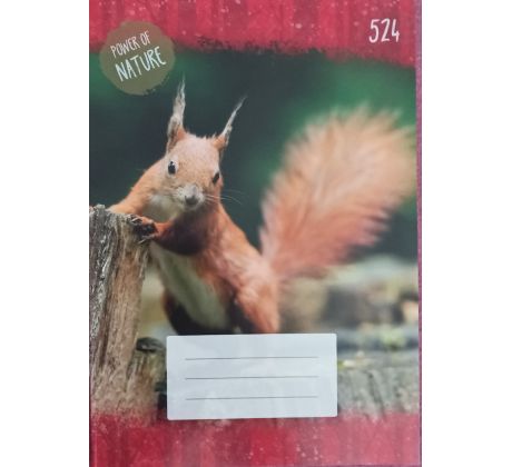 Zošit 524 A5 Linajkový 8mm, 20 listov