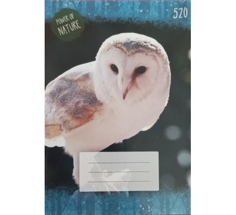 Zošit 520 JUNIOR čistý 20 listov
